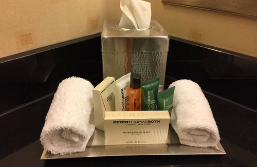O'Hare Hotel | Hilton Chicago O'Hare Airport