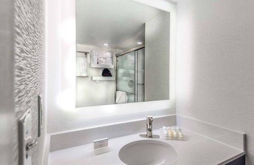 Crystal City Hotel | Hilton Garden Inn Reagan National Airport