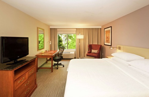 Renton Hotel | Hilton Garden Inn Seattle/Renton