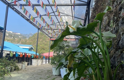 Mussoorie House | Himalayan Barn, for peaceful and blissful stays.