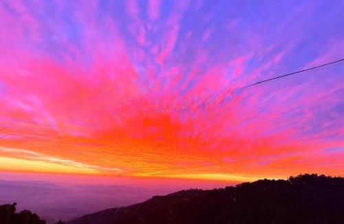 Dharamshala Bed & Breakfast | Himalayan Suite