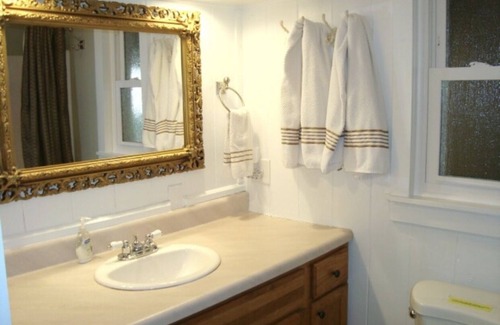 Hendersonville House | Historic Asheville/Hendersonville area Cabin with Hot Tub & Firepit