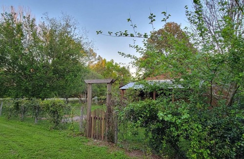 Worthington Springs Cabin | Historic Cabin Magic near Springs and UF