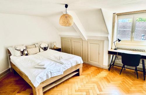 Aigle Apartment | Historic House between Montreux Leysin and Villars