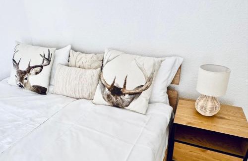 Aigle Apartment | Historic House between Montreux Leysin and Villars