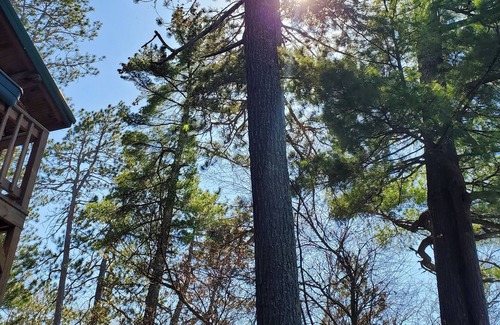 Tower Cabin | Historic Lake Vermilion Log Cabin - A Great Outdoors Getaway!