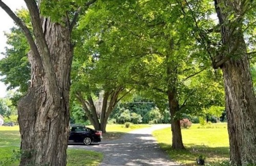 Town of Chesterfield House | Historic Moore Manor