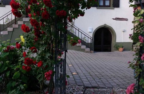 Muellheim House | Historic winegrower's house