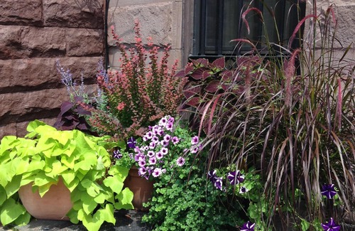 Bedford-Stuyvesant House | Historical Brownstone Living - Understated elegance, close to metro