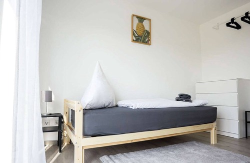 Busingen am Hochrhein Apartment | HÖ01 large apartment with dryer and washing machine