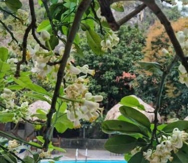 Hoa Lu House | Hoalu Ecolodge Homestay