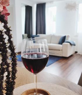 Glauchau Apartment | Hochwertiges Apartment Glauchau Wi-Fi Netflix Disney