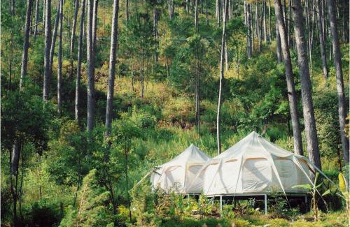 Lac Duong Cabin | Hodota Ankroet Resort & Camping