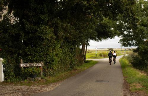 Schoorl Bed & Breakfast | Hoeve te Gast - vakantieboerderij