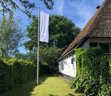 Schoorl Bed & Breakfast | Hoeve te Gast - vakantieboerderij