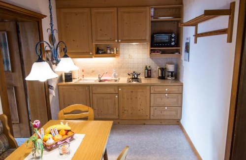 Kitzbuehel Apartment | Hof Hamoos