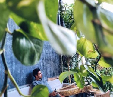 Cholula Apartment | Hoja Santa Posada