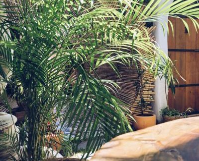Cholula Apartment | Hoja Santa Posada
