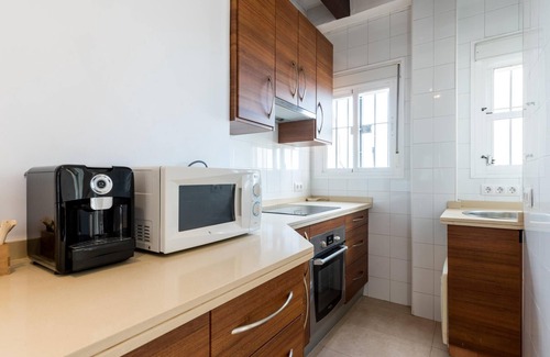 Triana Apartment | Holi-Rent Resitur Private Apartment in Duplex Penthouse next to Plaza de Cuba