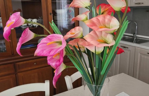 Monteverdi Marittimo Apartment | Holiday apartment Monteverdi Marittimo for 1 - 5 persons with 2 bedrooms - Twin house