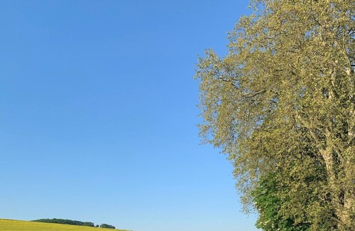 Altstadt Apartment | Holiday apartment / app. for 3 guests with 42m² in Eltville am Rhein (156197)