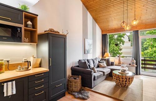 Sankt Andreasberg Apartment | Holiday Apartment "Berglounge im Harz" in St. Andreasberg