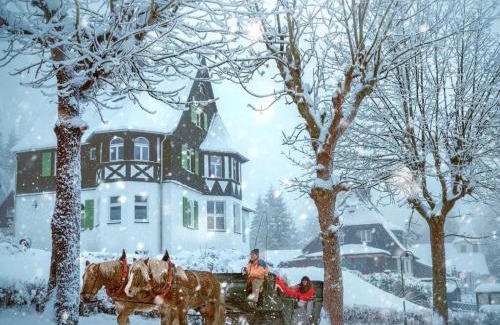 Baerenburg House | Holiday apartment Waldfrieden