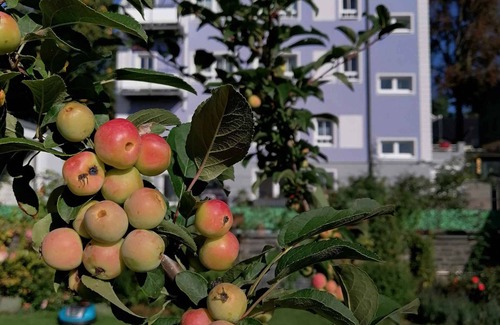 Bad Steben Apartment | Holiday apartment Apartment Summer