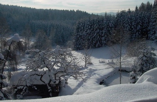 Bobrach Apartment | Holiday apartment Böbrach for 1 - 2 persons with 1 bedroom - Holiday apartment in one or multi-famil