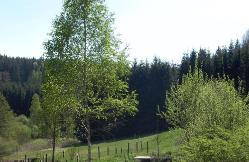 Bobrach Apartment | Holiday apartment Böbrach for 1 - 2 persons with 1 bedroom - Holiday apartment in one or multi-famil