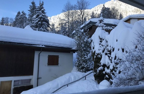 Adelboden Apartment | Holiday apartment Chalet Meise