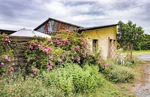 Saint-Cyprien Apartment | Holiday Apartment "Studio Mini Loft À La Campagne" with Shared Terrace, Private Garden & Wi-Fi