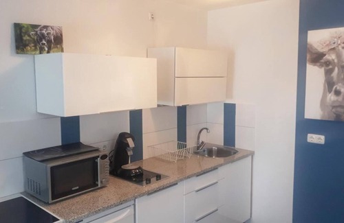 Rauhenzell Apartment | Holiday apartment Immenstadt for 1 - 3 persons - Holiday apartment