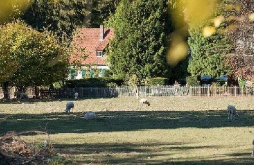 Altenbeken House | Holiday apartment Kutscherstube