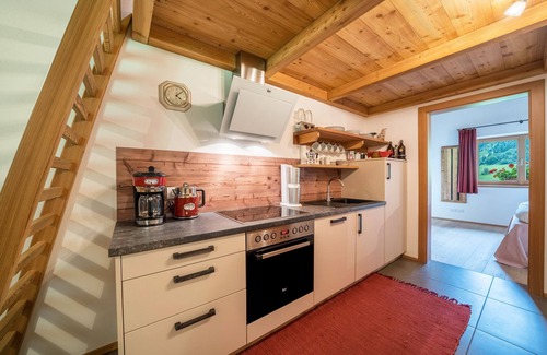 Racines Apartment | Holiday Apartment "Larch Soge Apt Helmuth" with Mountain View, Balcony & Shared Garden