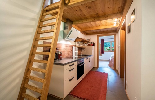 Racines Apartment | Holiday Apartment "Larch Soge Apt Helmuth" with Mountain View, Balcony & Shared Garden