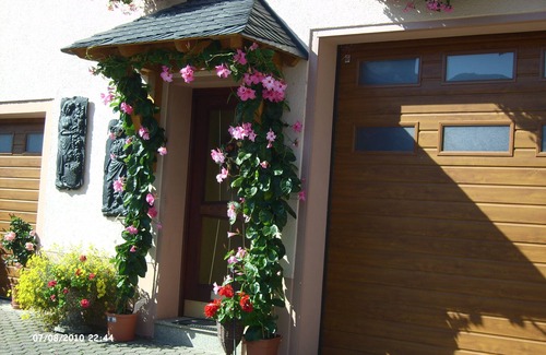 Trittenheim Apartment | Holiday Apartment "Pharmacy" with Weinbergblick