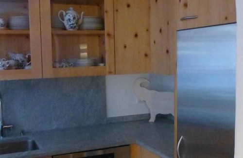 Pontresina Apartment | Holiday apartment Pontresina for 1 - 2 persons with 1 bedroom - Holiday apartment in one or multi-fa