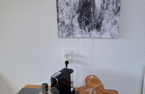 Samedan Apartment | Holiday apartment Samedan for 1 - 2 persons with 1 bedroom - Holiday apartment in one or multi-famil