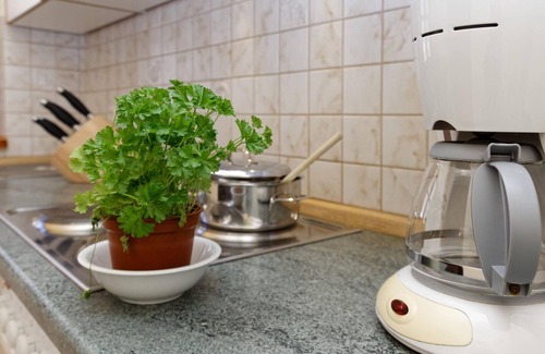 Spiegelau Apartment | Holiday apartment Spiegelau for 1 - 4 persons with 1 bedroom - Holiday apartment in one or multi-fam