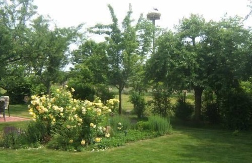 Venningen Apartment | Holiday apartment Venningen for 1 - 2 persons with 1 bedroom - Holiday apartment