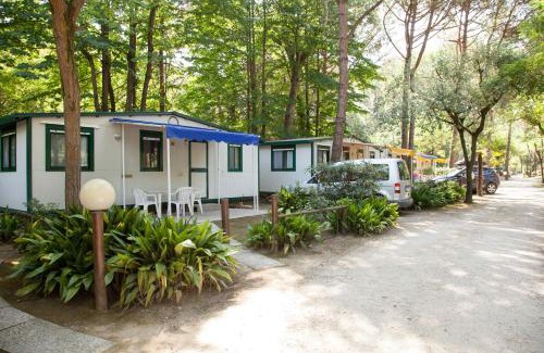 Ca' Savio Other | Holiday Center Valdor