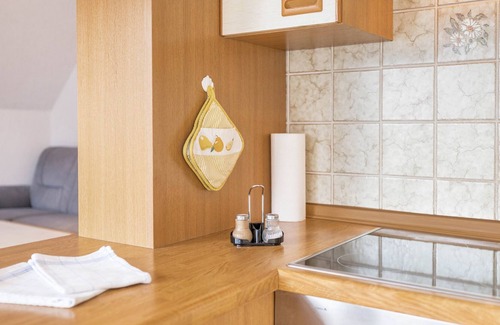 Radolfzell am Bodensee Apartment | Holiday Apartment "Erben" with Balcony, Mountain View, Wi-Fi & SAT-TV