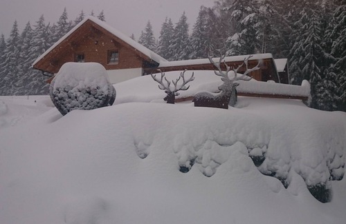 Drachselsried Apartment | Holiday Holzebenhof - vacation in a fantastic secluded location