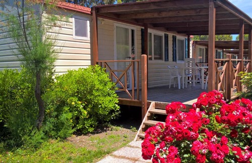 Marina di Cecina House | Holiday Home Cecina Mare-3 by Interhome