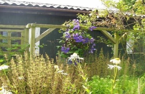 Westerholz House | Holiday home in quiet location, few minutes to the beach, child-friendly