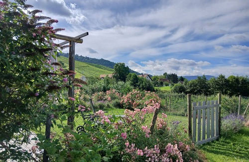 Niederlehen House | Holiday Home 'Ferienhaus Tannengrün' with Private Terrace, Wi-Fi and Air Conditioning