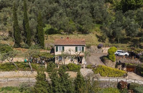 Camaiore House | Holiday Home Il Glicine by Interhome