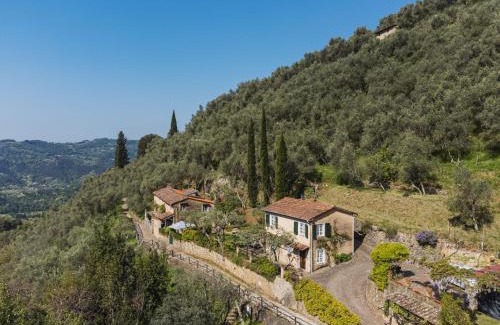 Camaiore House | Holiday Home Il Glicine by Interhome