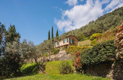 Camaiore House | Holiday Home Il Glicine by Interhome